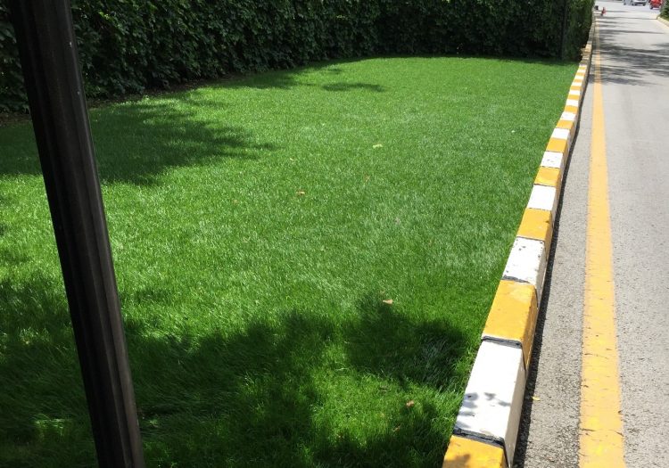 Anfa Ankara Park Bahçe Çimlendirmesi, doğal tohum halısı, rulo çim