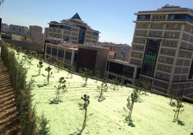 Tema İstanbul Site Bahçe Çimlendirmesi, doğal tohum halısı, rulo çim