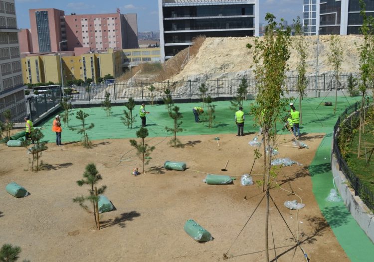 Tema İstanbul Site Bahçe Çimlendirmesi, doğal tohum halısı, rulo çim