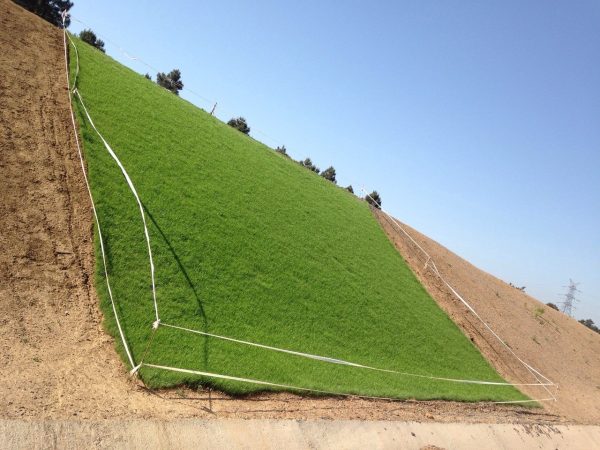 Üçüncü Köprü Meyilli Alan Çimlendirmesi, doğal tohum halısı, rulo çim