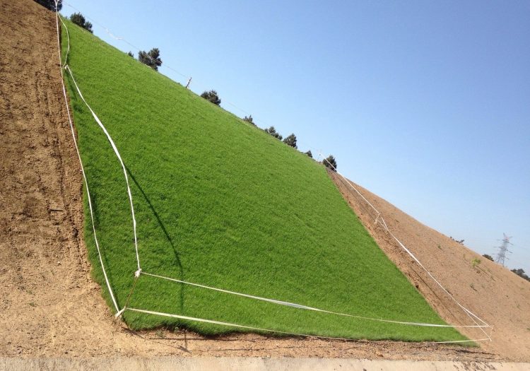 Üçüncü Köprü Meyilli Alan Çimlendirmesi, doğal tohum halısı, rulo çim