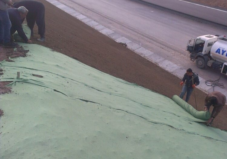 Üçüncü Köprü Meyilli Alan Çimlendirmesi, doğal tohum halısı, rulo çim