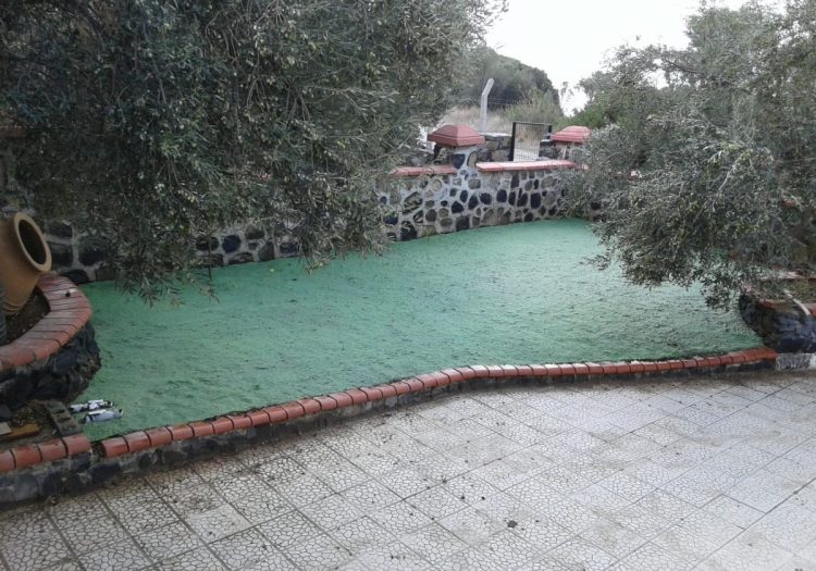 Villa Bahçe Çimlendirmesi, doğal tohum halısı, rulo çim